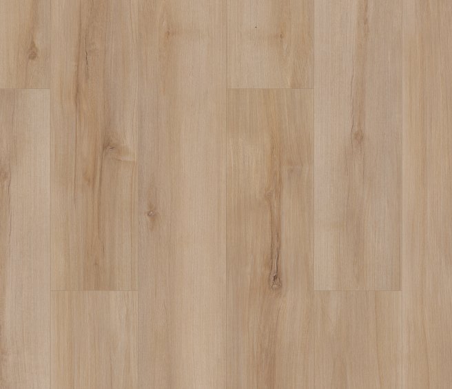 lucent Lucent Oak COREtec Pro-Enhanced Luxury Vinyl Plank - Image 1